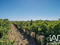 Divers ventes Divers ventes