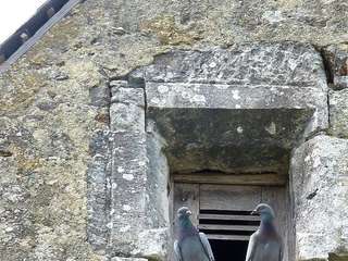 Divers ventes 7 pièces