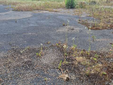 Vente garage et parking