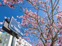 Vente garage et parking Vente garage et parking