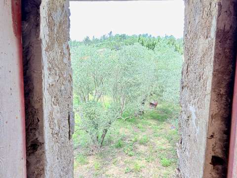 Vente garage et parking