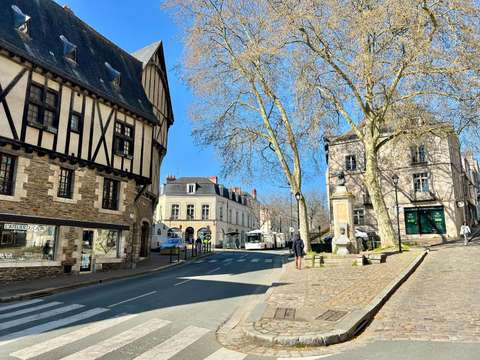 Immeuble Angers Centre 49