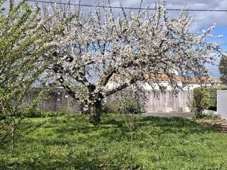 Immeuble