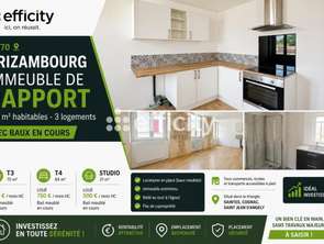 Vente Immeuble 8 piècesBrizambourg