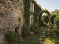 Immeuble 15 pièces