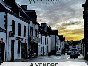 Vente ImmeubleCarnac