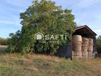 Immeuble