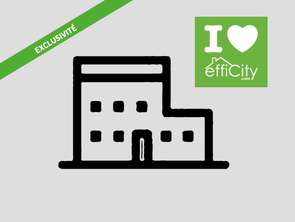 Vente Immeuble 9 piècesCoulon