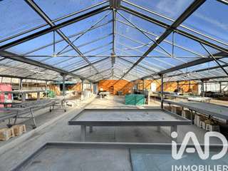 Immeuble
