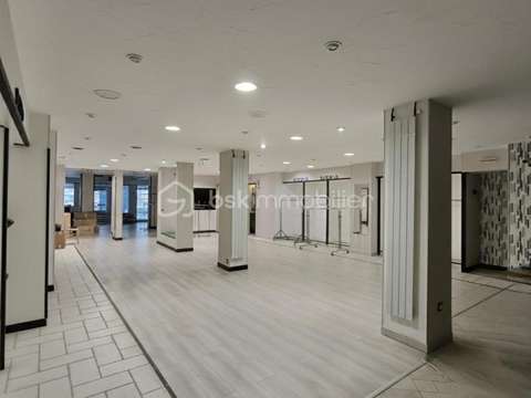 Immeuble 10 pièces