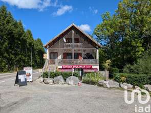 Vente ImmeubleGresse-en-Vercors