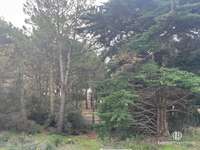 Immeuble 10 pièces