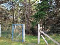 Immeuble 10 pièces