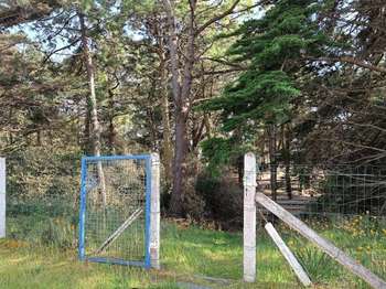Immeuble 10 pièces