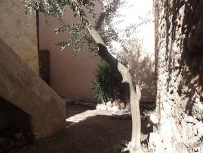 Vente ImmeubleLe Luc