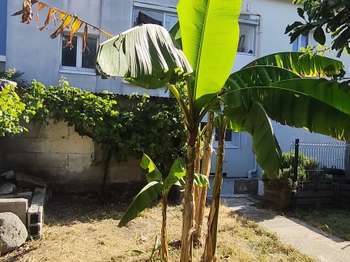Immeuble Lorient 56