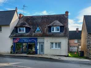 Vente Immeuble 4 chambresPleslin-Trigavou