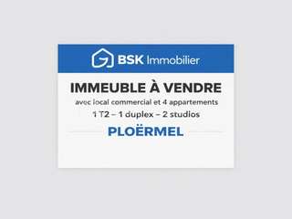 Immeuble 10 pièces