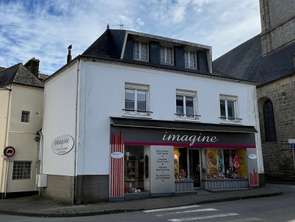 Vente ImmeublePluvigner
