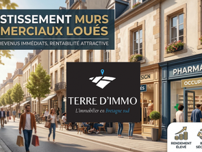 Vente ImmeublePont-l'Abbé