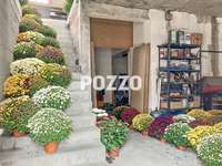 Immeuble 3 pièces Immeuble 3 pièces