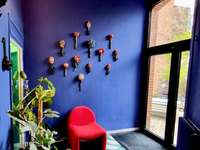 Immeuble 20 pièces