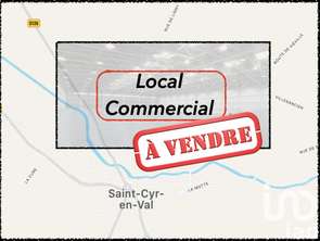 Vente ImmeubleSaint-Cyr-en-Val