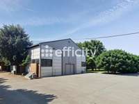 Immeuble 1 pièce