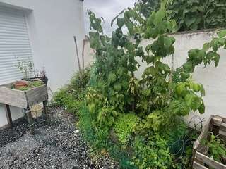 Immeuble