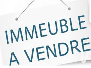 Vente ImmeubleTours