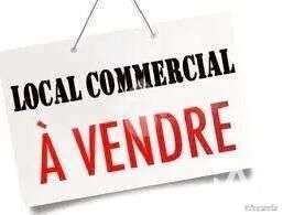 Vente ImmeubleVendays-Montalivet