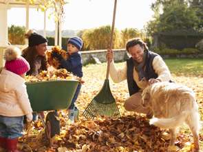 Vente Programme neuf TerrainLongchamp