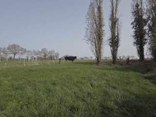 Longère et corps de ferme 6 pièces