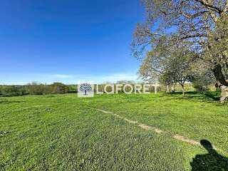 Longère et corps de ferme 7 pièces