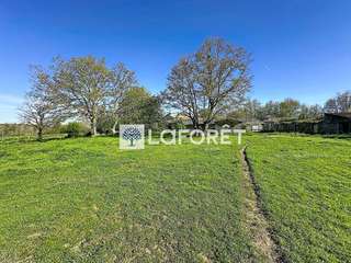 Longère et corps de ferme 7 pièces