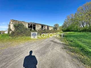 Longère et corps de ferme 7 pièces