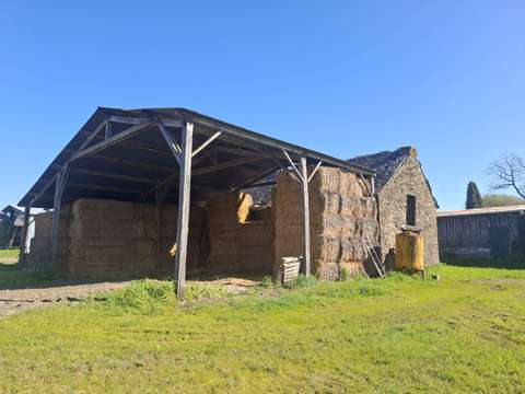Longère et corps de ferme 1 pièce Campel 35