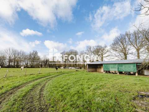 Longère et corps de ferme 6 pièces