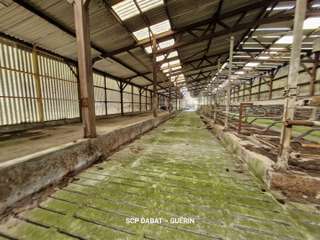 Longère et corps de ferme 6 pièces Longère et corps de ferme 6 pièces