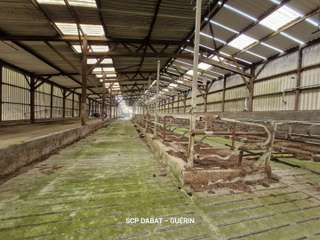 Longère et corps de ferme 6 pièces Longère et corps de ferme 6 pièces