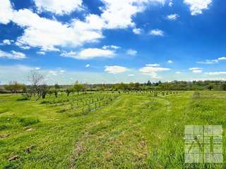 Longère et corps de ferme 10 pièces