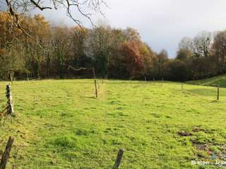 Longère et corps de ferme 6 pièces