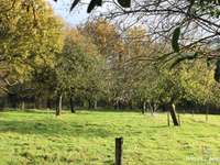 Longère et corps de ferme 6 pièces