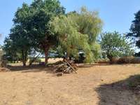 Longère et corps de ferme 4 pièces