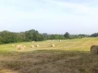 Longère et corps de ferme 4 pièces Longère et corps de ferme 4 pièces