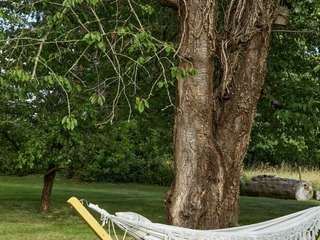 Longère et corps de ferme 6 pièces