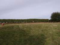 Longère et corps de ferme 7 pièces Longère et corps de ferme 7 pièces