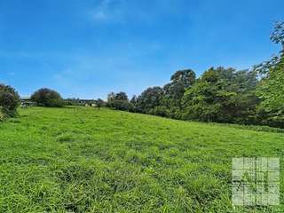 Longère et corps de ferme 11 pièces