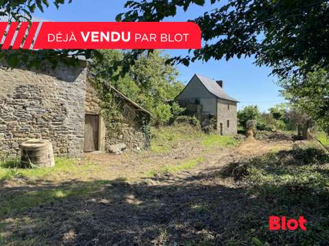 Longère et corps de ferme 1 pièce Janzé 35