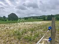 Longère et corps de ferme 4 pièces